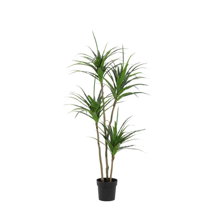 ARTIFICIAL Dracaena - 165cm | productafbeelding 6