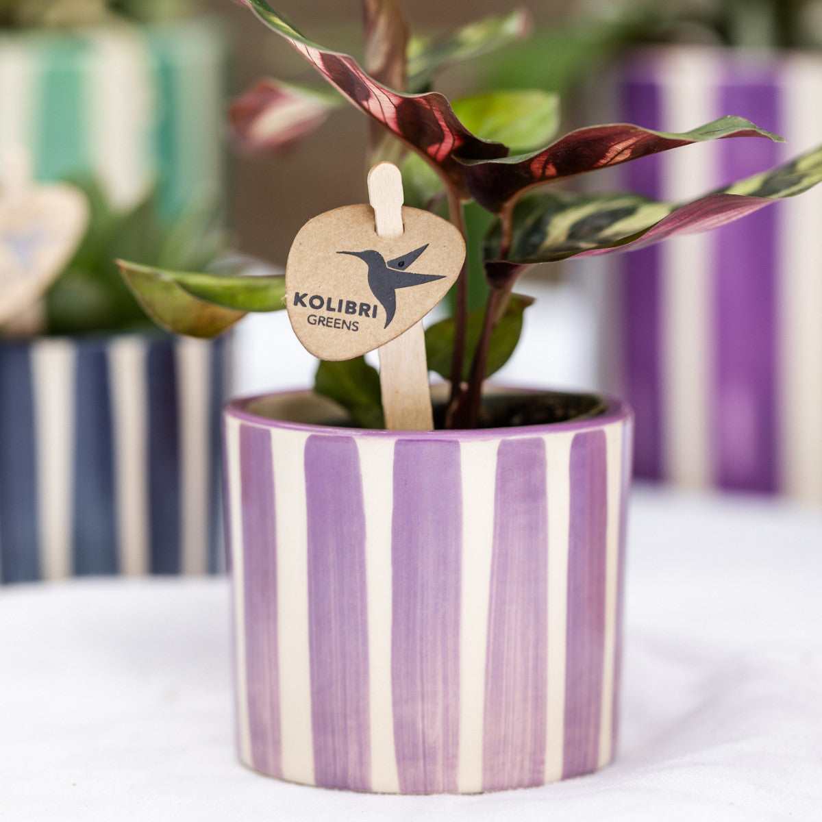 Kolibri Home | Painted stripe - Lilac - Ø6cm | productafbeelding 2