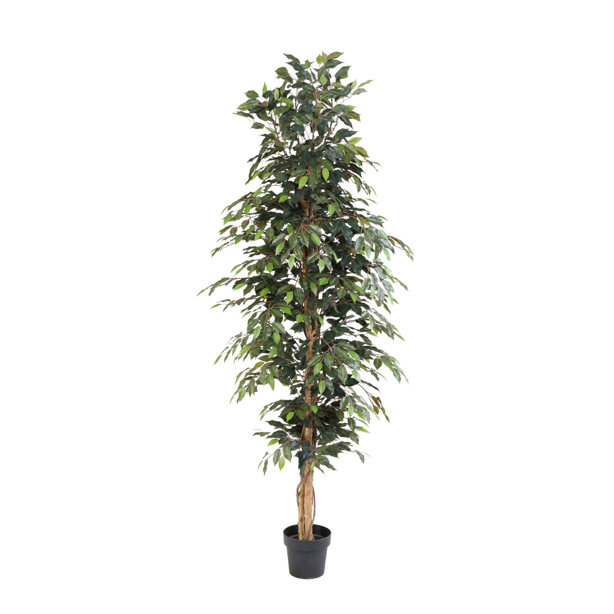 ARTIFICIAL Ficus Benjamina - 205cm | productafbeelding 2