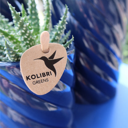 Kolibri Home | Candy sierpot | Hoog - Blue - Ø6cm | productafbeelding 5