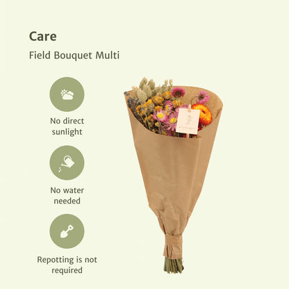 Droogbloemen Field Bouquet Multi - Ø15cm - ↕35cm | productafbeelding 4