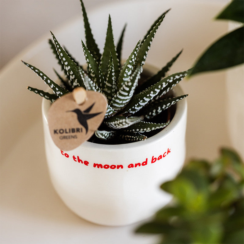Kolibri Home | To the moon and back sierpot - Ø6cm | productafbeelding 4