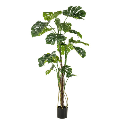 kunstplant - Monstera - Gatenplant - 180cm | productafbeelding 6