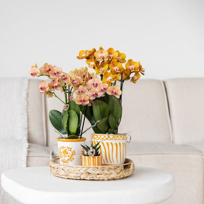 Kolibri Home | Painted stripe - Orange - Ø6cm | productafbeelding 2