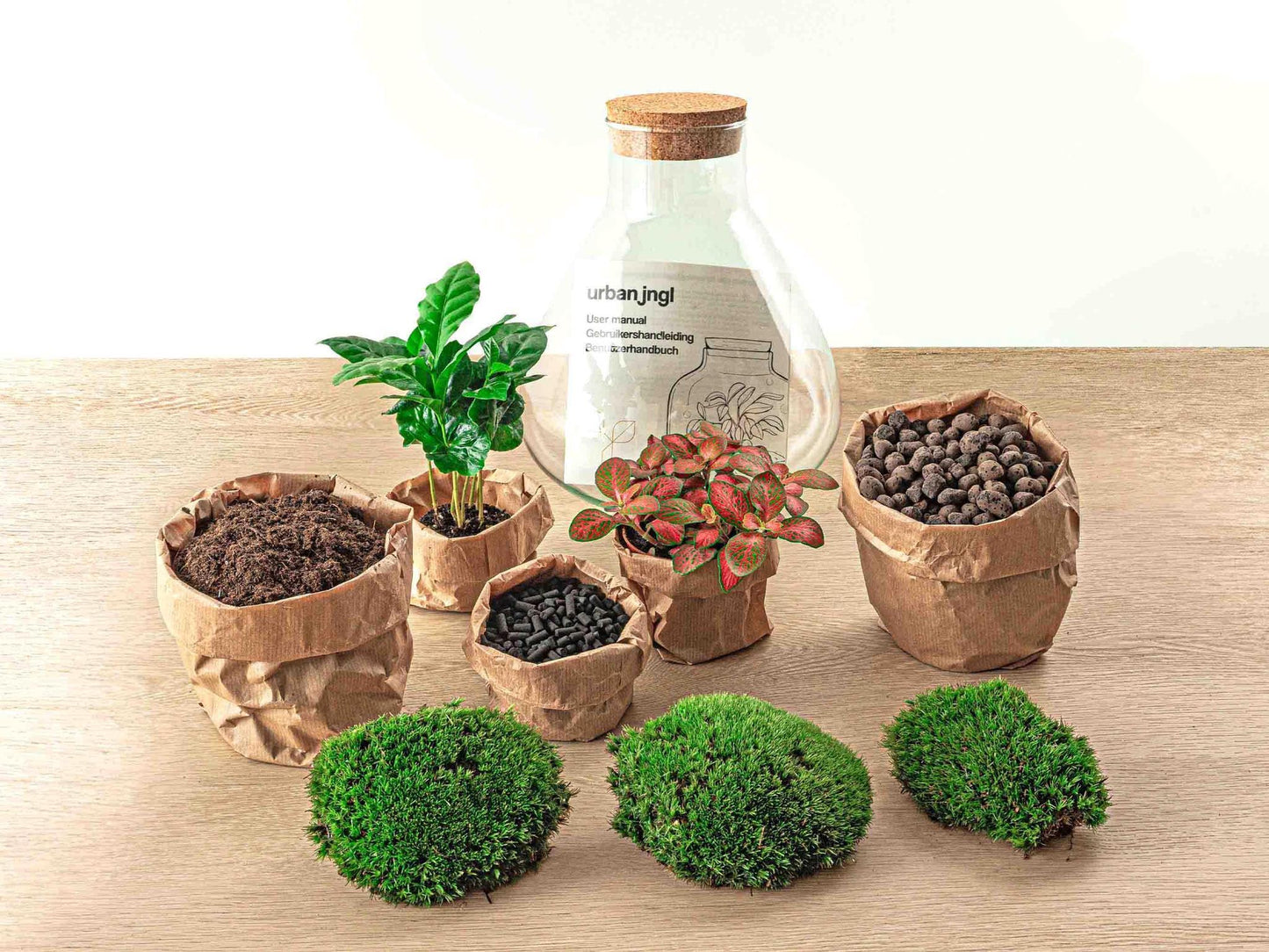 DIY-Terrarium – Sammie Coffea – ↕ 27 cm – Normal