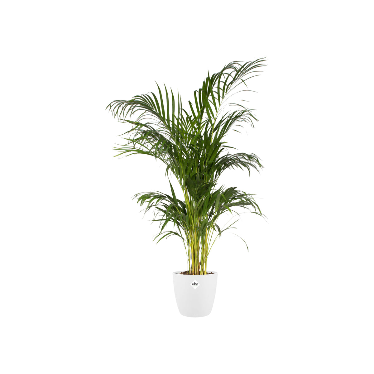Pot elho Brussels Round Wit D30 x H27 | productafbeelding 3