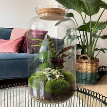 DIY-Terrarium – Botanisches Sven XL – ↕ 43 cm – Rechen + Schaufel + Pinzette