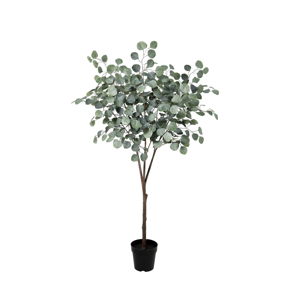 ARTIFICIAL Eucalyptus boom - 150cm | productafbeelding 6