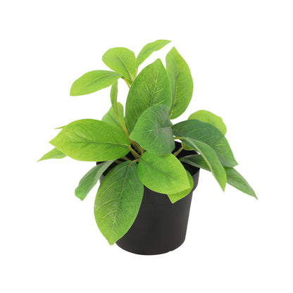 ARTIFICIAL Hoya green - 20cm | productafbeelding 2