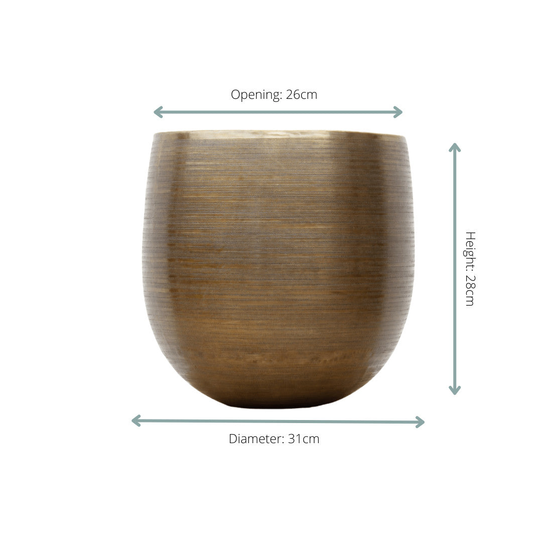 Rowen gold - 31x28 | productafbeelding 2