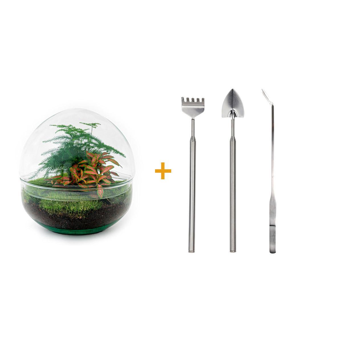 DIY-Terrarium – Kuppel Rot – ↕ 20 cm – Rechen + Schaufel + Pinzette