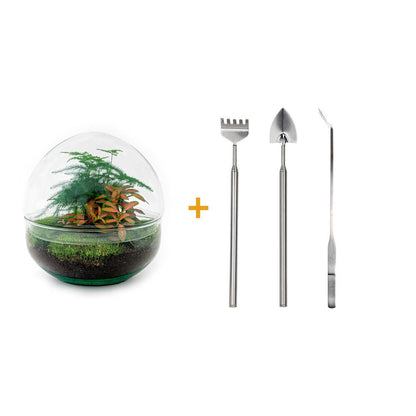 DIY-Terrarium – Kuppel Rot – ↕ 20 cm – Rechen + Schaufel + Pinzette