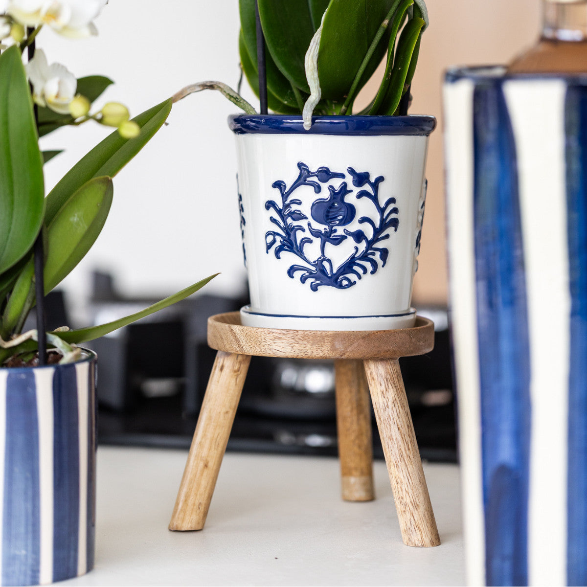 Kolibri Orchids | witte orchidee Amabilis + Malaga sierpot blauw - potmaat Ø9cm | bloeiende kamerplant - vers van de…