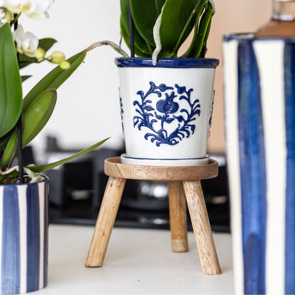 Kolibri Orchids | witte orchidee Amabilis + Malaga sierpot blauw - potmaat Ø9cm | bloeiende kamerplant - vers van de…